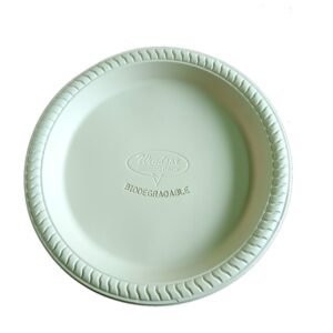 Plate 10"