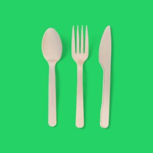 Biodegradable Cutlery