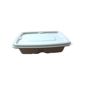500ML RECTANGULAR BAGASSE CONTAINER ANTILEAK WITH LID