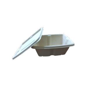 750ML RECTANGULAR BAGASSE CONTAINER ANTILEAK WITH LID