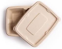 1000ML RECTANGULAR BAGASSE CONTAINER ANTILEAK WITH LID