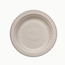 7" Disposable Food Serving Plate