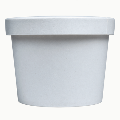 Container with Lid 500ml