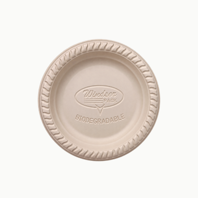6" Disposable Food Serving Plate
