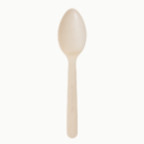 6" Perfect Regular Spoon