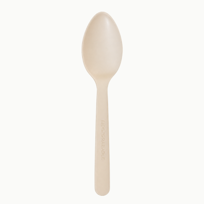 6" Perfect Regular Spoon