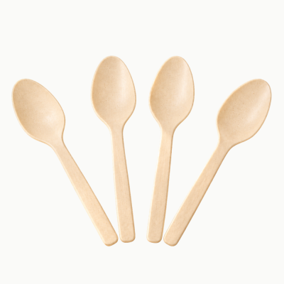 6" Disposable Spoon