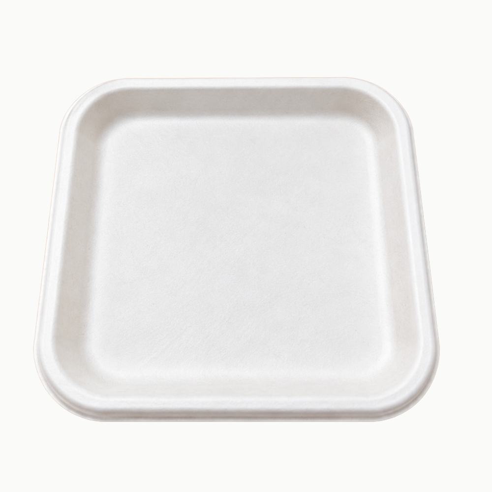 9″ Disposable Square Plate
