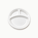 10″ 3 CP Disposable Plate