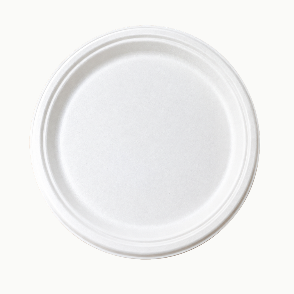 10″ Plain Disposable Plate