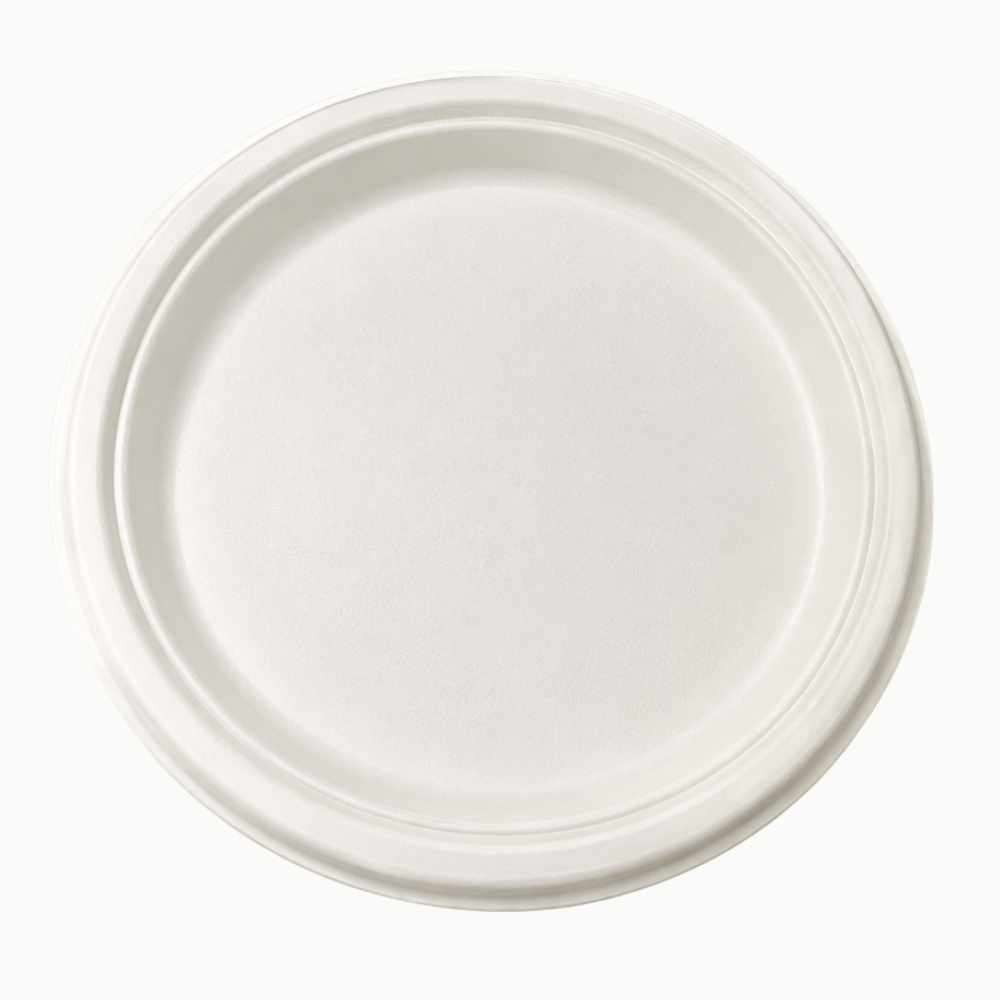 6″ Disposable Round Plate