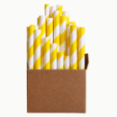 Multi Colour Paper Straw 10″ × 10mm