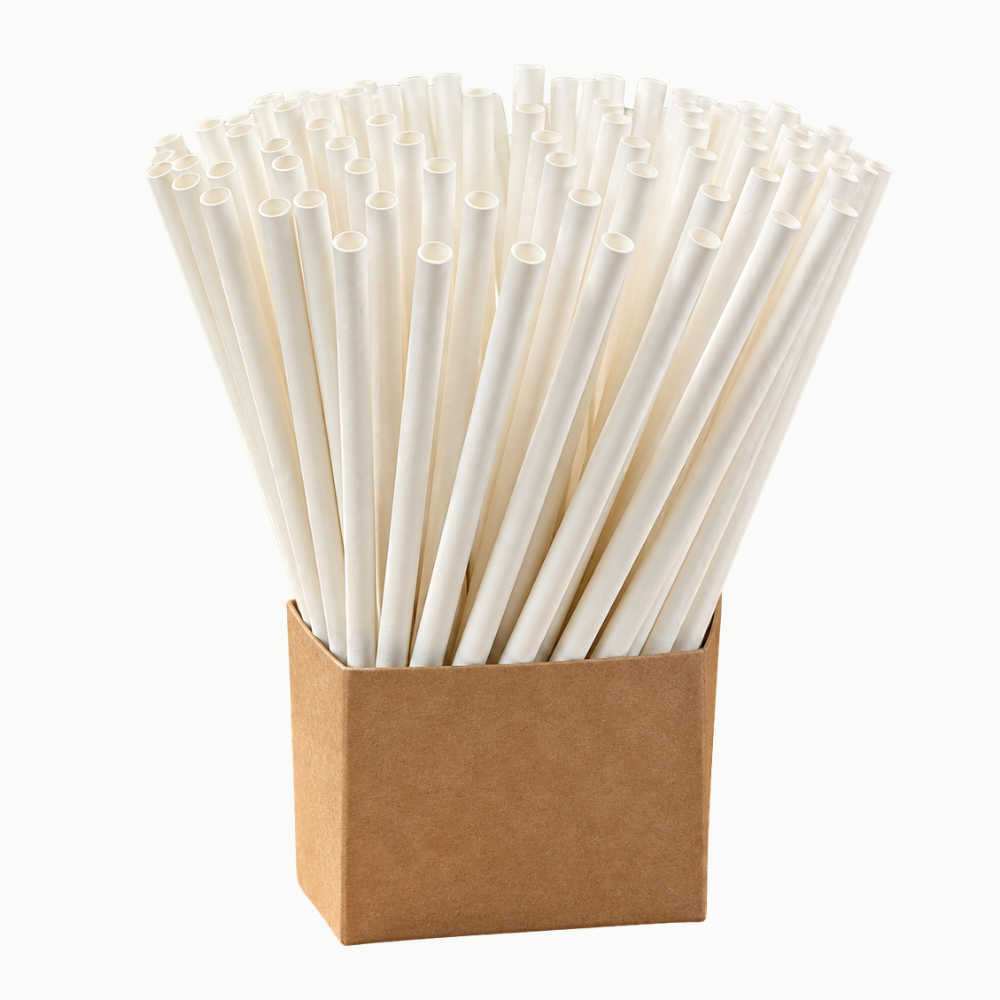 White Paper Straw 10″ × 6mm